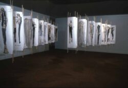 Articulations (collaboration with poet Fred Wah) 1998