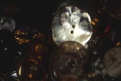 Mother of Pearl 2004 Photograph