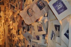 Wall 2009